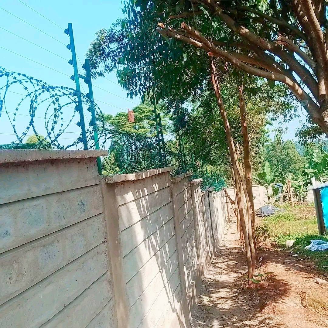 Concrete Boundary Wall