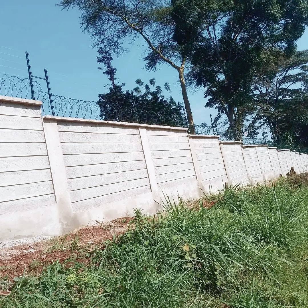 Estate Perimeter Wall