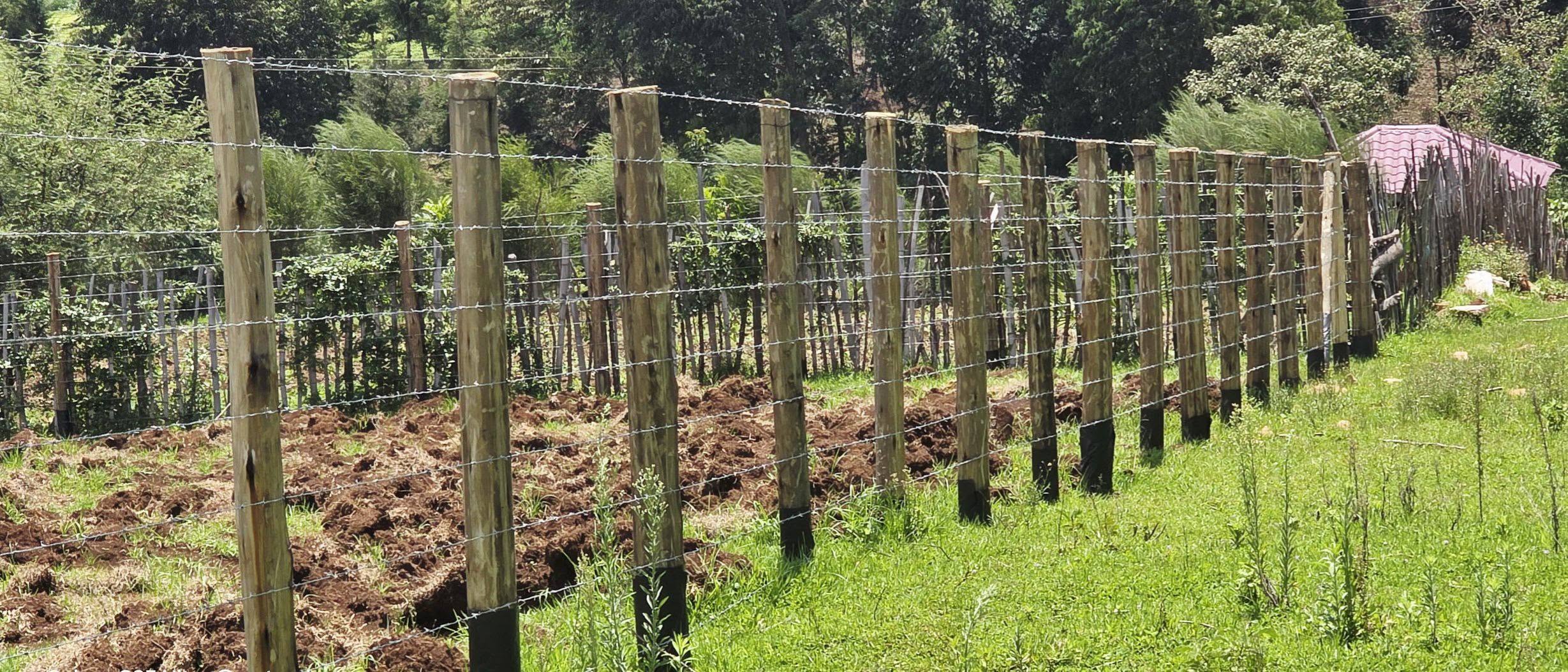 Farm Barbed Fence