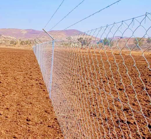 Farm Chainlink Fence