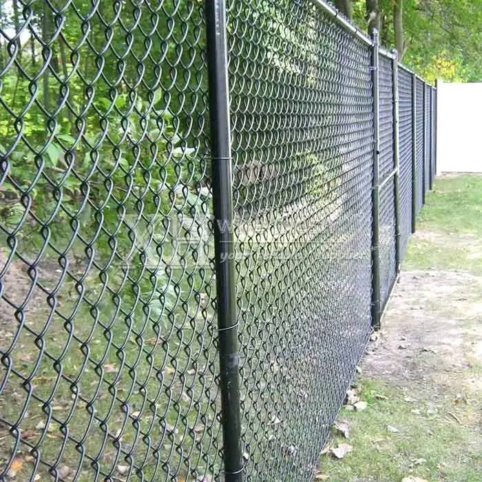 School Chainlink Fence